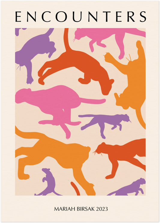 Colorful Encounters